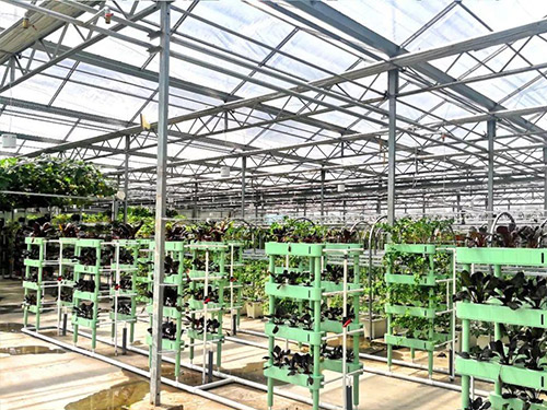 馬鞍山無土栽培智能大棚